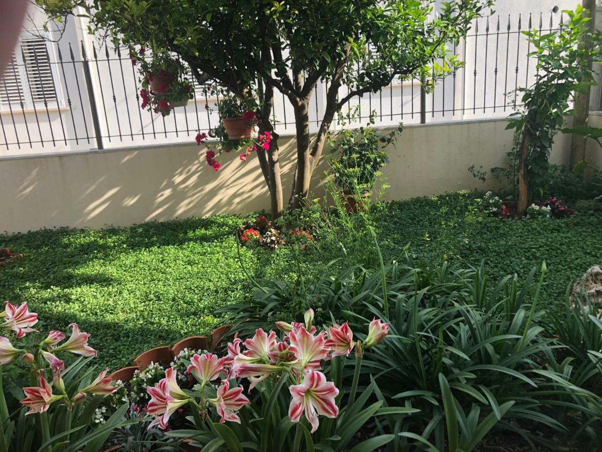 Mokošica Apartman Lu 아파트 외부 사진